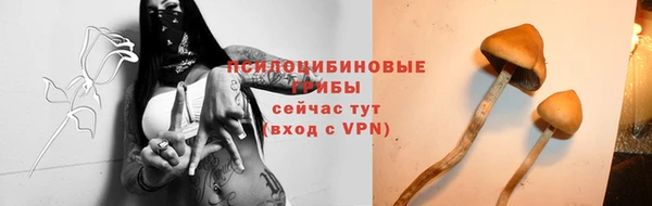 Альфа ПВП Вязьма