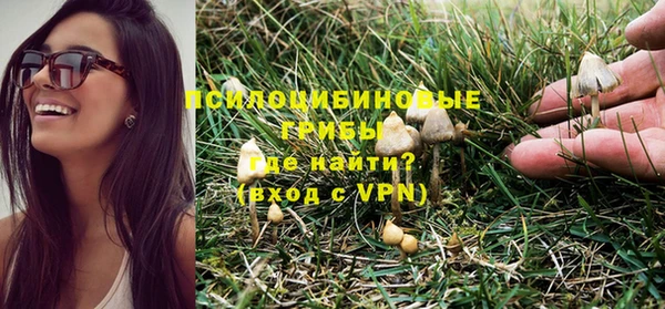 Альфа ПВП Вязьма