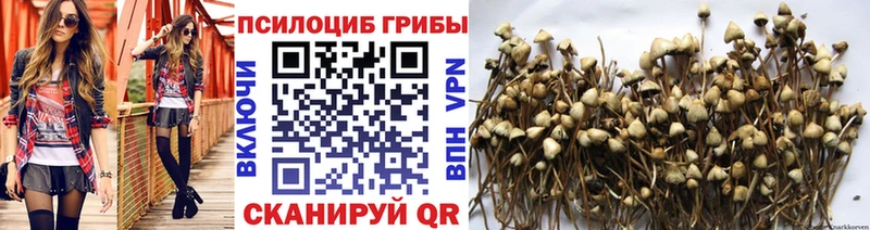 Галлюциногенные грибы MAGIC MUSHROOMS  MEGA ссылки  Казань  цены  